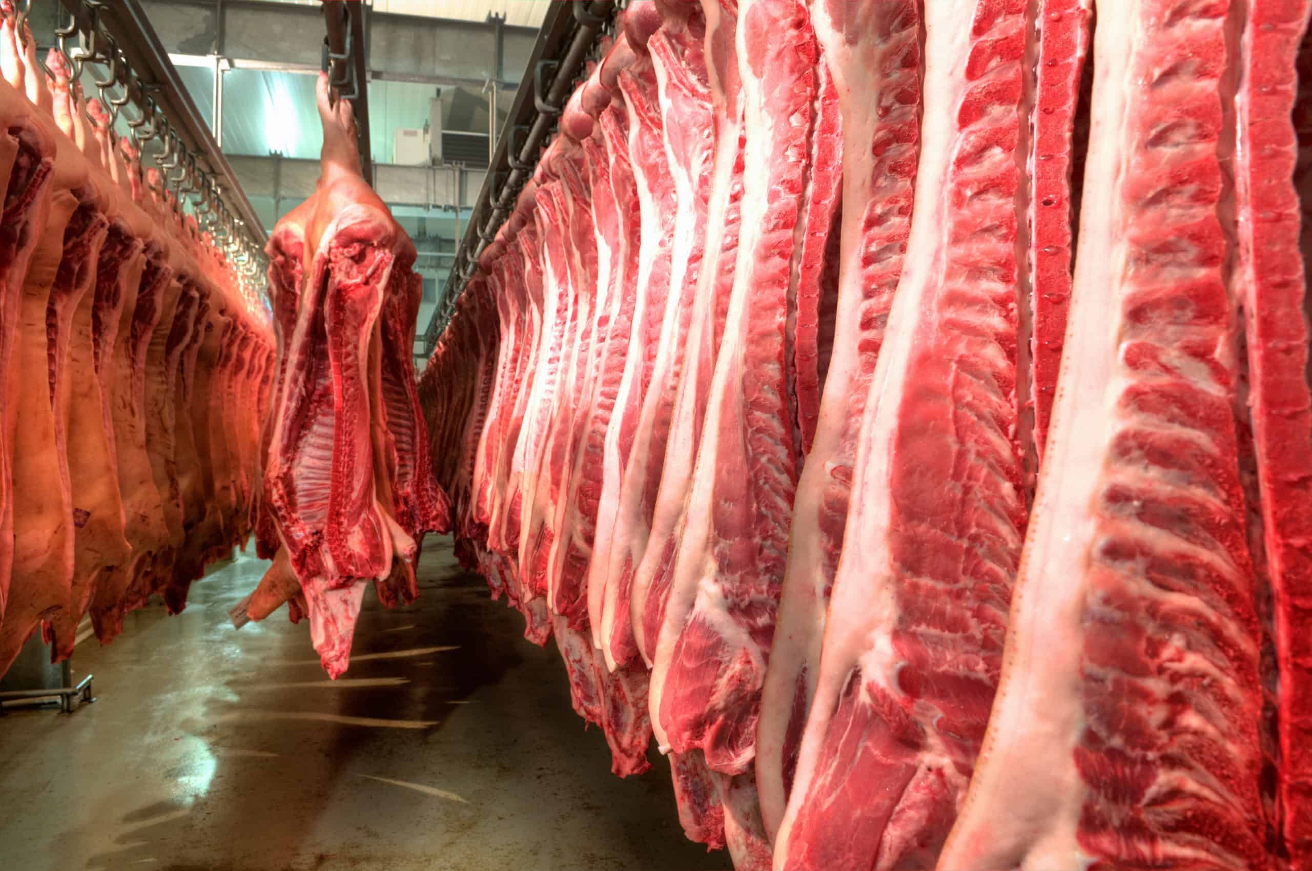 meat processing sanitation protocols