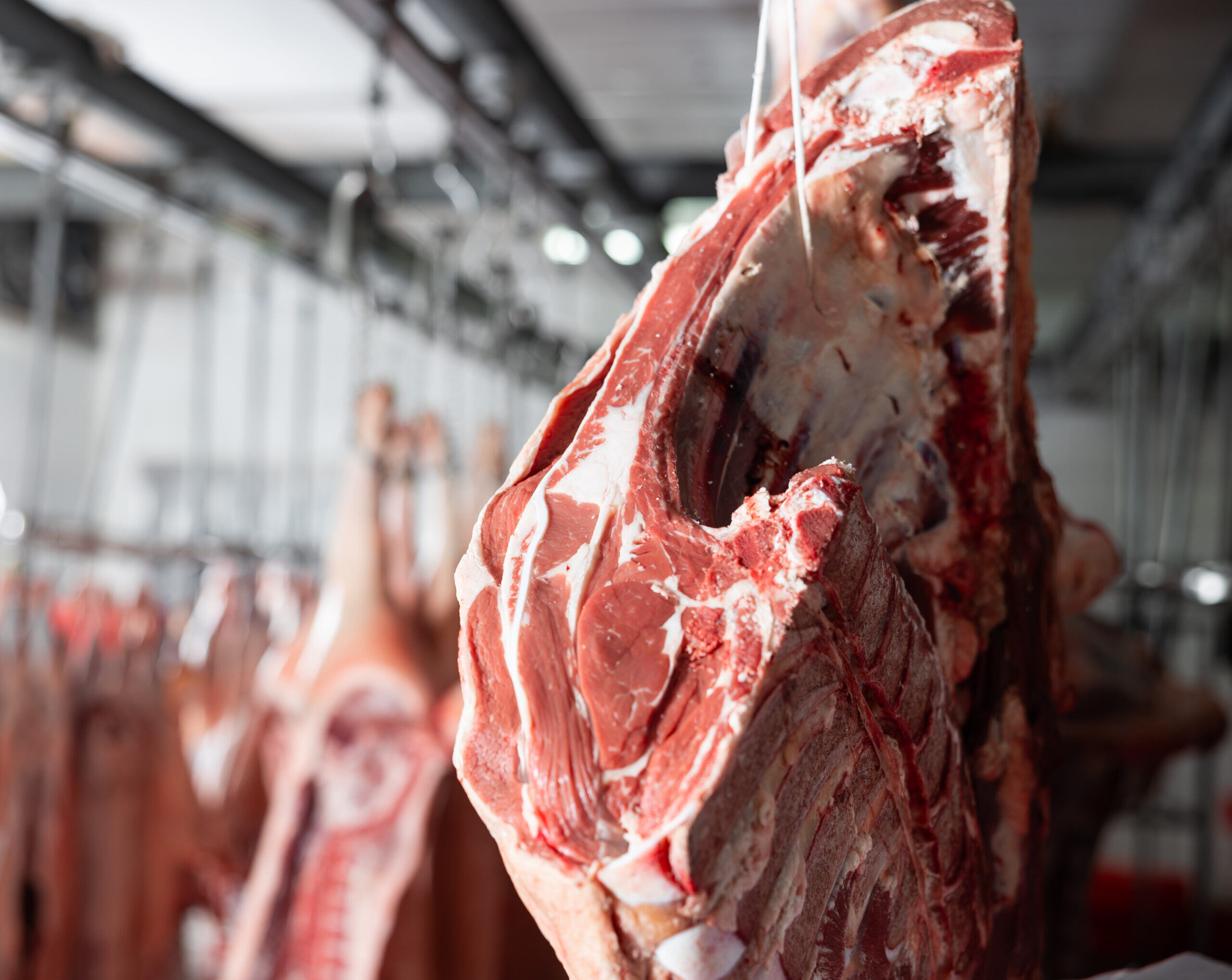 Antimicrobial – Intervention Treatment for Meat & Poultry Carcasses and Parts