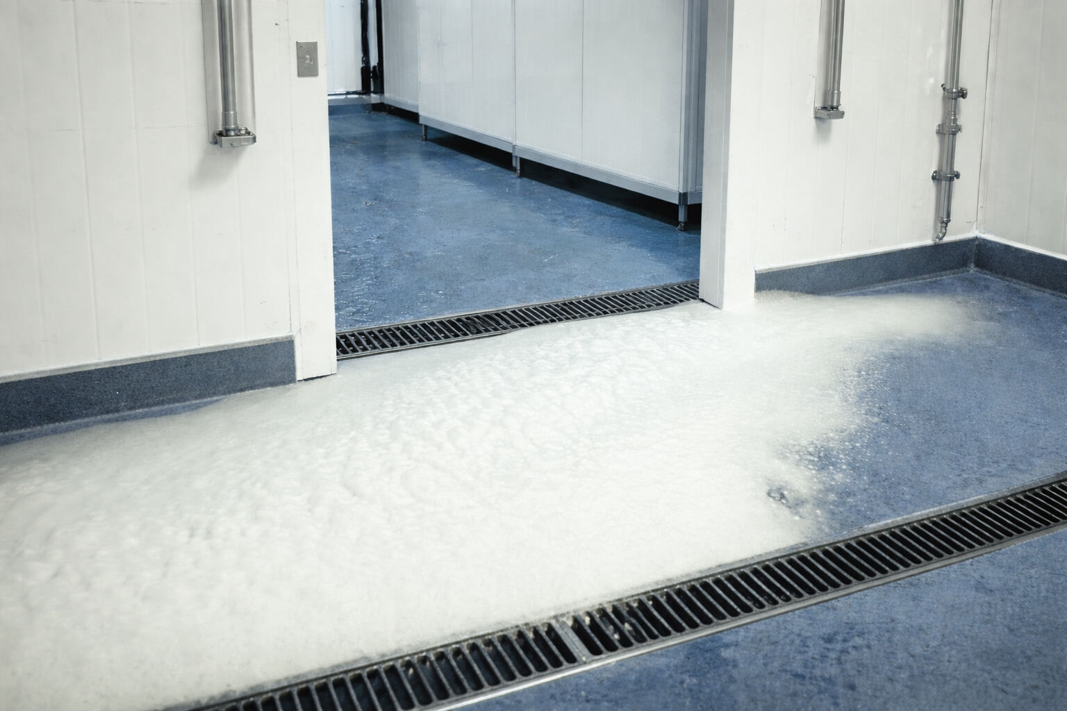 Entryway Foam Sanitizing System