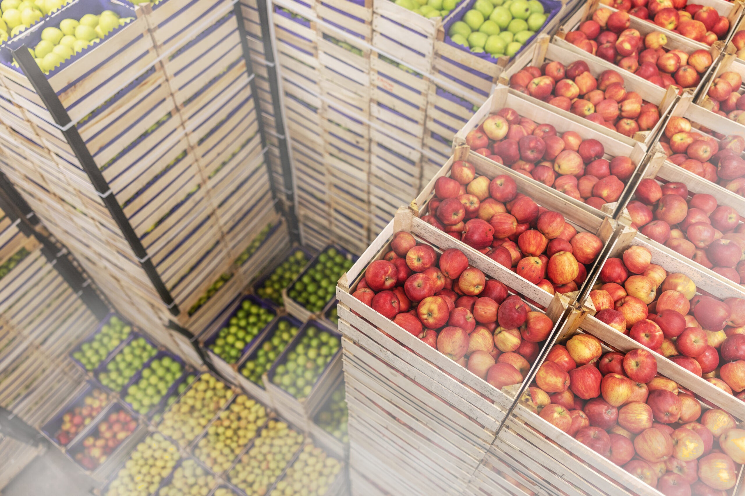 Fogging Application for Filling, Packaging & Post-Harvest Decay and Spoilage Control