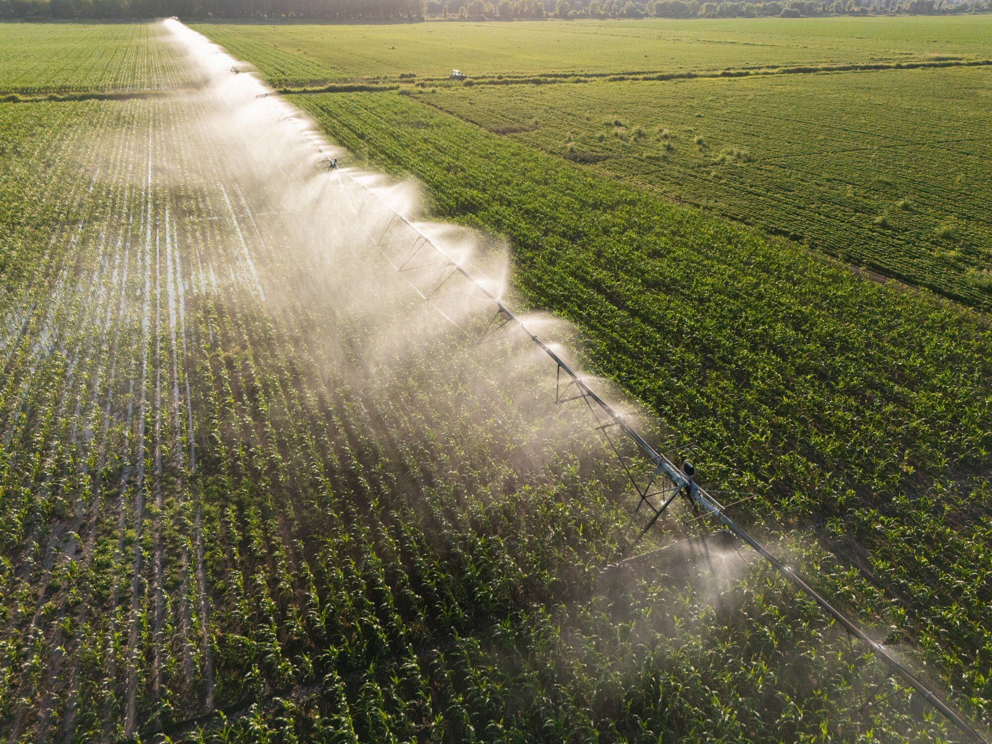 Treatment of Agricultural and Irrigation Water Systems 