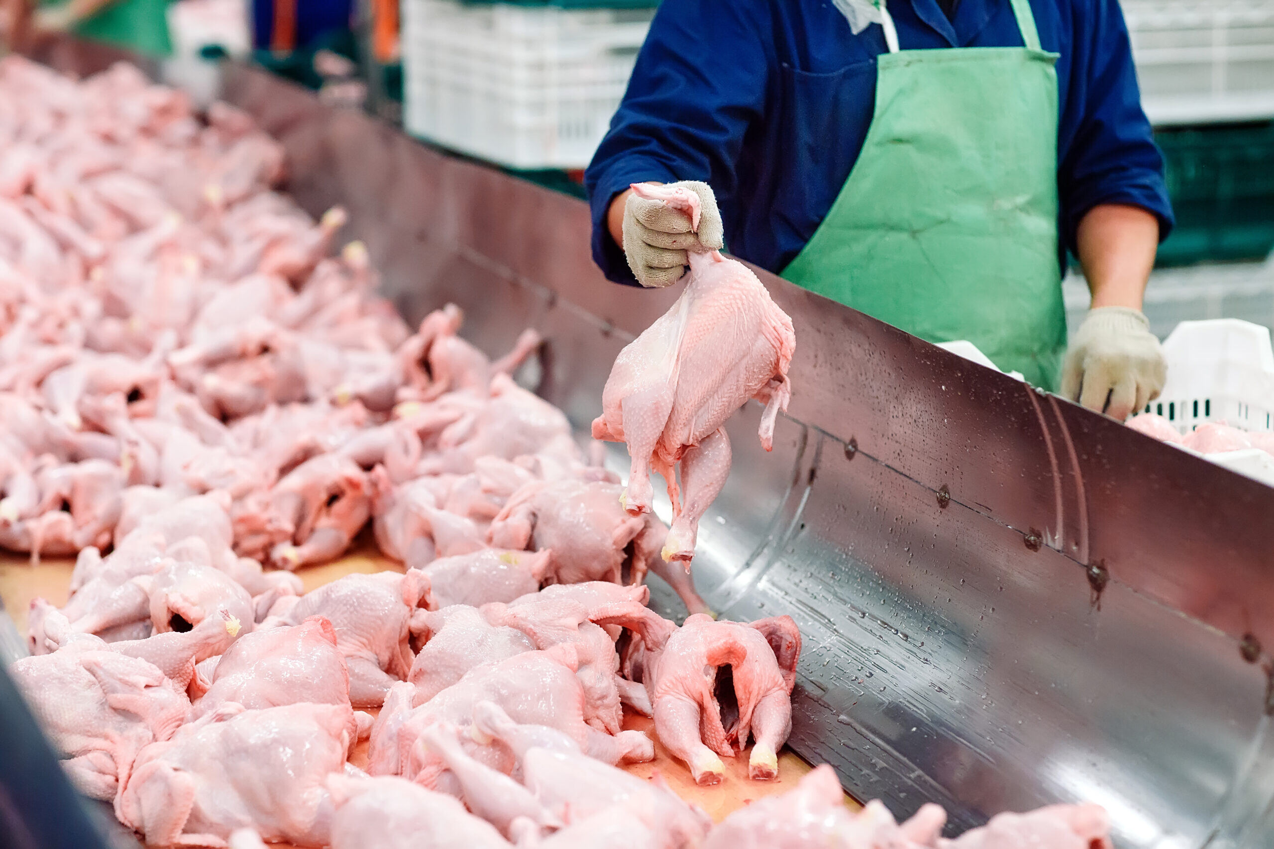 Meat-PoultryProcessing