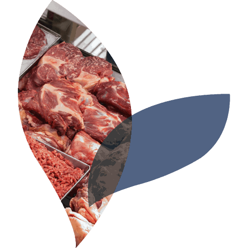 Biosan Homepage Icon Meat