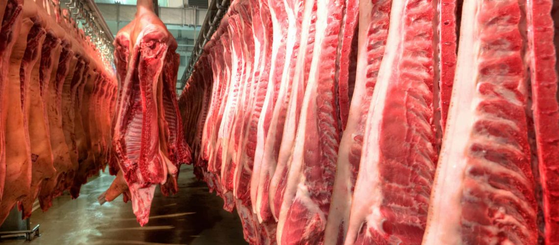 meat processing sanitation protocols